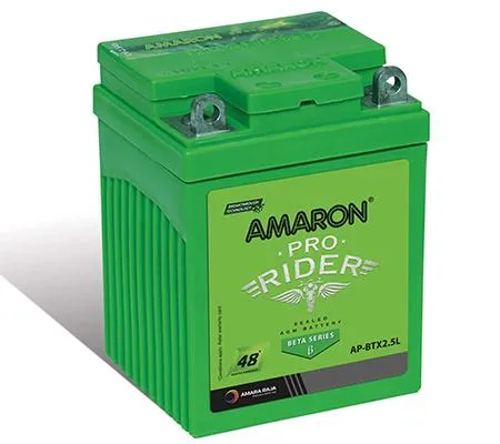 AMARON PRO Bike Battery ABR-PR-12APBTX25